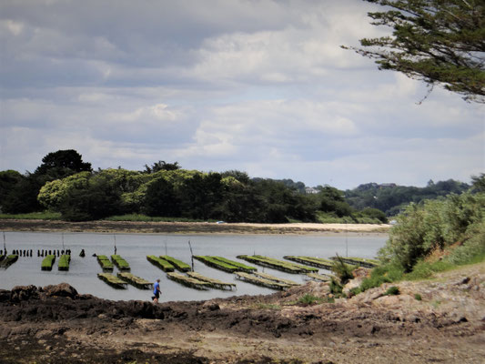 et marais salants