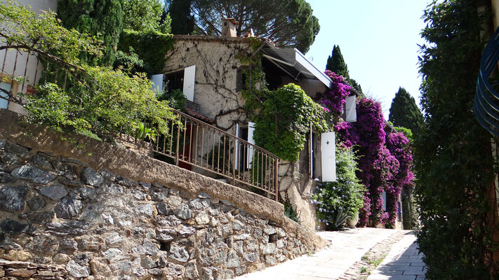 Charme provençal aux facades fleuries de bougainvilliers