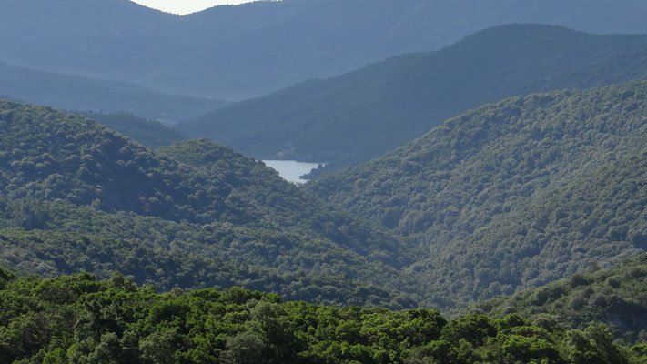 Superbe vue sur le maquis des Maures