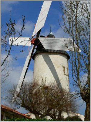 Sallertaine: son moulin