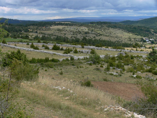 Causse Sauveterre