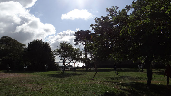 Parc d'origine avec cyprés de Lambert et chênes verts