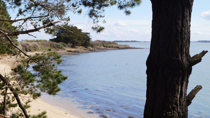 Plage du Nioul