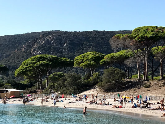 Avec ses pins parasols et roches rouges