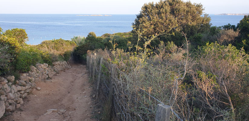 Vers la plage de Majalone