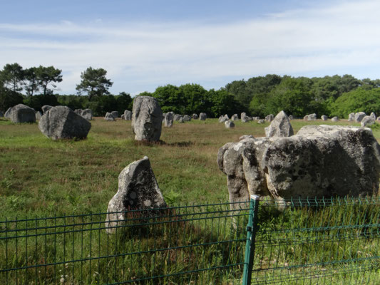 Alignement de mégalithes: Carnac