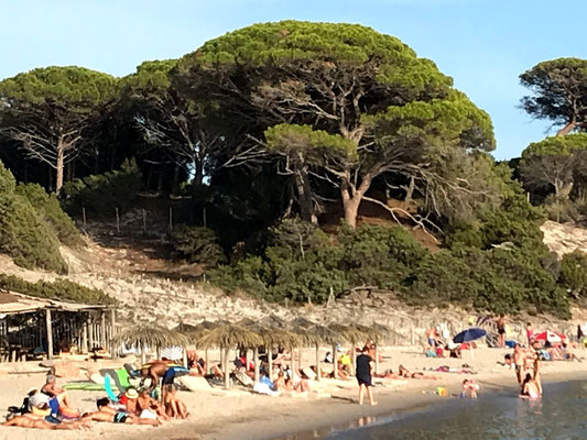 Plage de Palombaggia