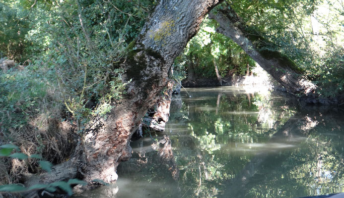 Le long des canaux et des conches