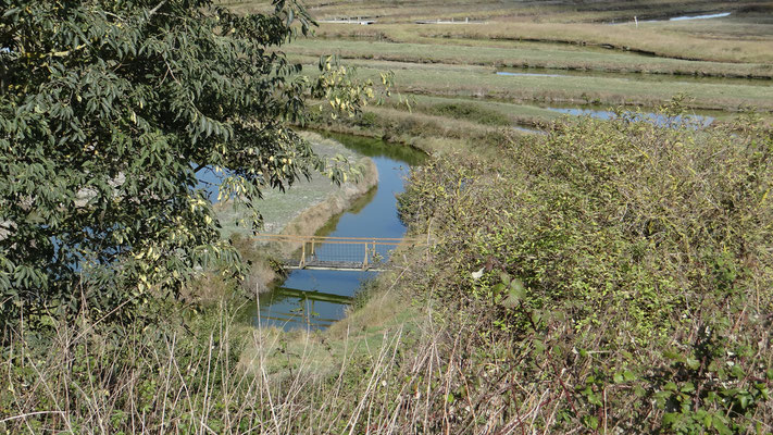 Les marais du Payré