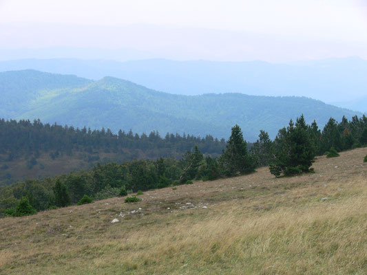 Causse Méjean