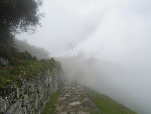 Der erste Blick in den Nebel. Gut, dass ich zuerst die Montaña mache, bis dahin ist vielleicht aufgeklart.