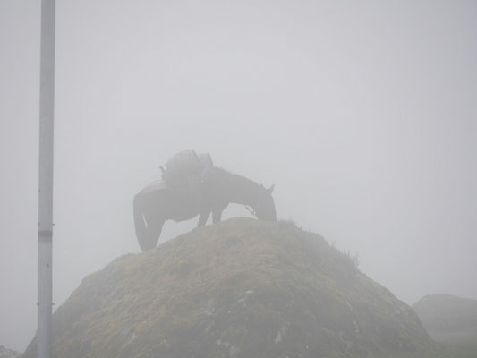 Ich sagte schon, Nebel zieht auf.