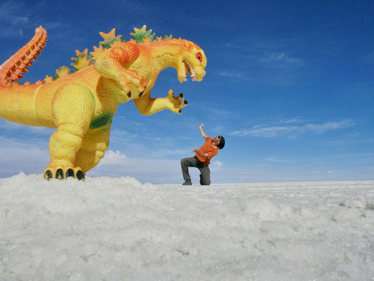 Und dann treffen wir auf den gefürchteten Rotgelben Dinosaur!! Der Schrecken des Salar de Thunupa!!