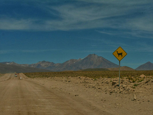 So ein Bild wollte ich schon immer machen, etwa vergleichbar mit den Bildern in Australien mit dem Känguru auf dem Schild.