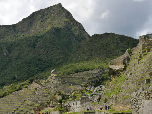 Blick zurück. Das hier ist jetzt der Machu (alte) Picchu Berg (Montaña). Da plane ich morgen raufzugehen. Auch dafür benötigt man Ticket, ist aber leichter zu kriegen, wahrscheinlich wegen der fast 2800 Stufen?