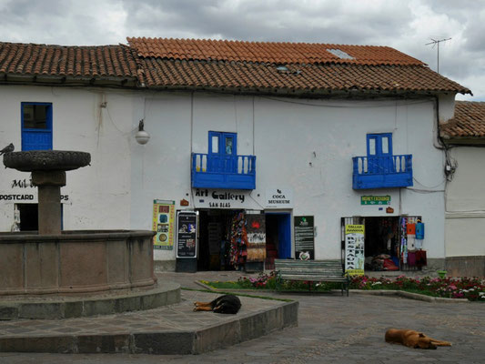 Plaza San Blas mit den üblichen "südlichen" Liegehunden - auch 2D-Hunde wegen der nur zweidimensionalen Ausbreitung.