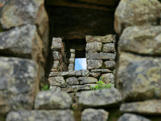 Detail.