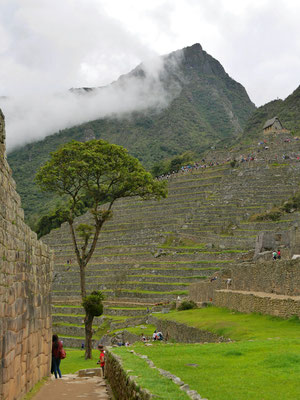 Der Machu Picchu, die Montaña,  der alte Berg. Da oben stand ich heute Mittag.