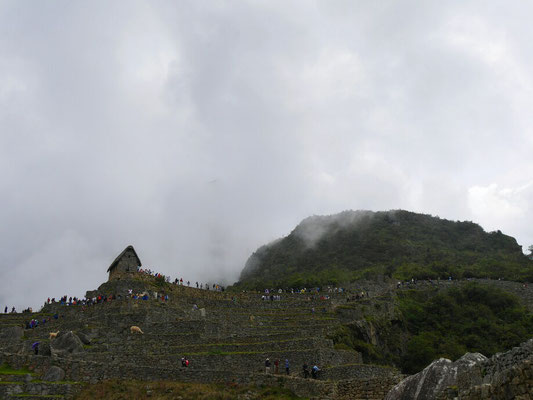 Blick zurück zur Montaña. Sie ist hinter den Wolken...