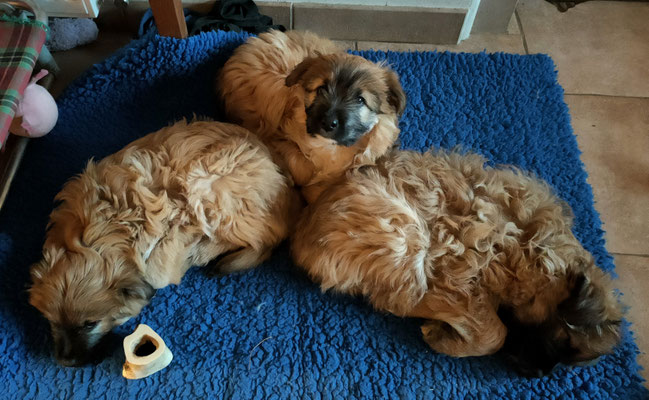 Zzzzzz.....
