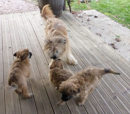 Morgendliches Spiel mit Mama
