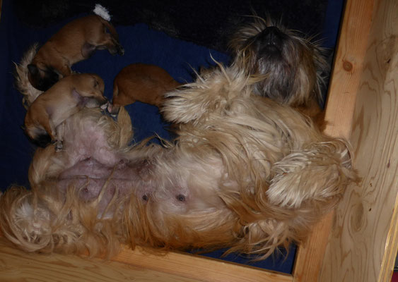 relaxed :-)