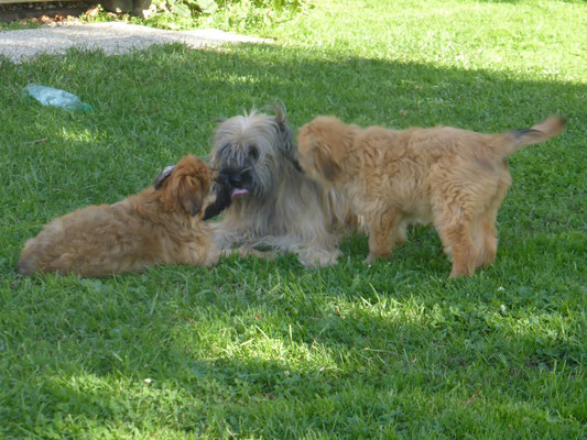 bisous bisous / Küsschen Küsschen