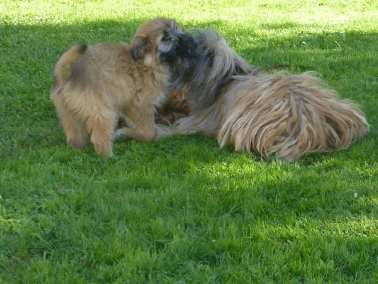 et encore des tendre bisous / und noch mehr sanfte Küsschen
