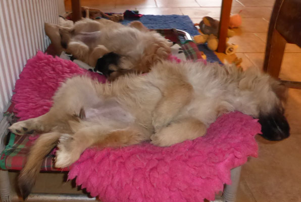 les filles / die Mädchen relaxed