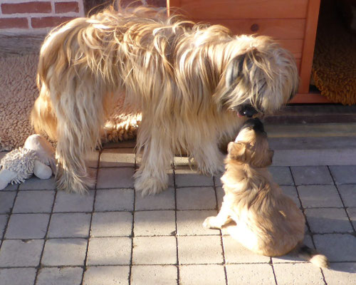 bisous maman / Küsschen Mami