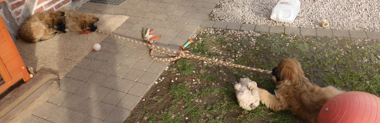 fatigués oui ou non ? / Müde ja oder nein ?