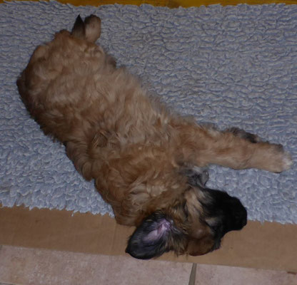 hasta mañana