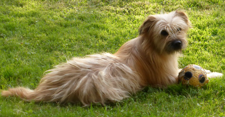Lou