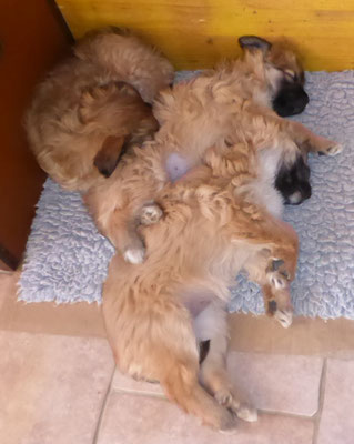 Zzzzz.......