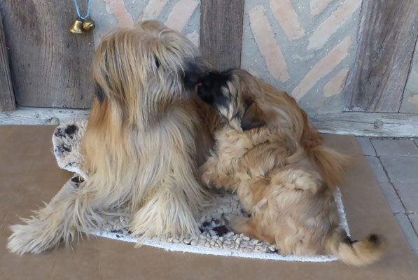 bisous bisous maman