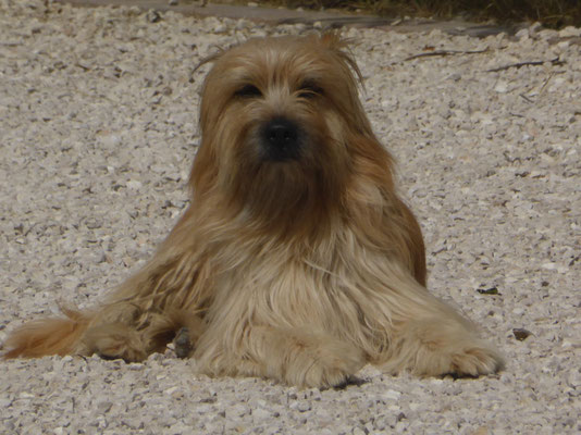 Papa Lou tout fièr /   stolzer Papa Lou
