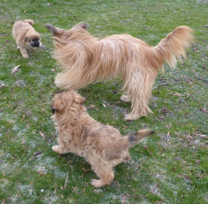jeu matinal avec maman