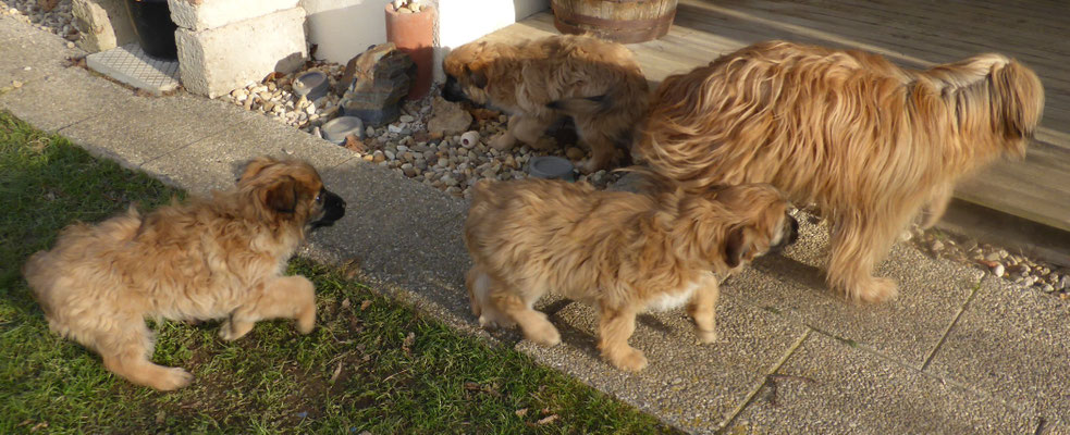 coucou grand-maman