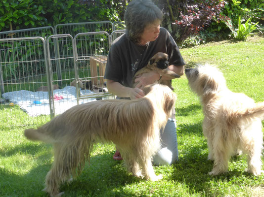 On fait connaissance de papa et grand-maman / Wir machen mit Papi und Grosi Bekanntschaft
