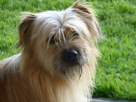 Lou