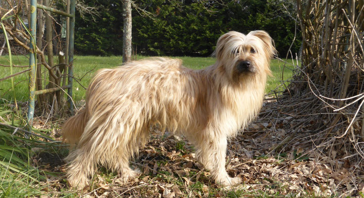 2.5 ans / Jahre 