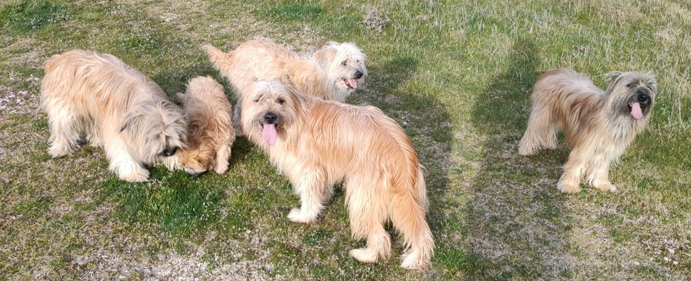 et toujours de petites baladades en famille / und immer wieder kleine Spaziergänge mit der Familie