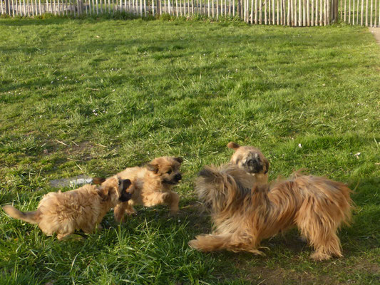 attention maman on attaque / Attacke Mami, Achtung