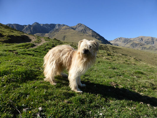 Lou au pied du Pic d'Arbizon / Lou am Fusse des Pic d'Arbizon