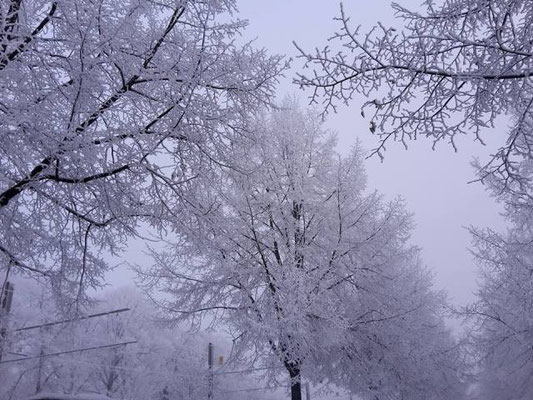 Wintereinbruch in Deutschland.