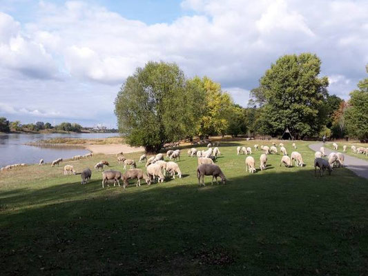 Nicht Irland, sondern Magdeburg/ Deutschland.