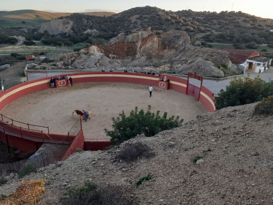organizar una capea en Jerez