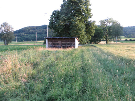 Ansicht aus 50M