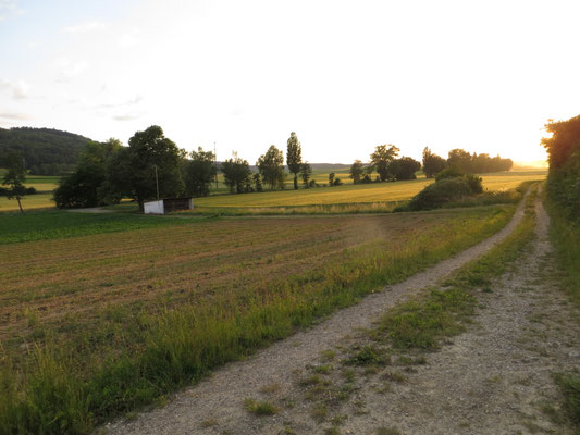 Auf dem Flurweg zum Stand von Ramsen