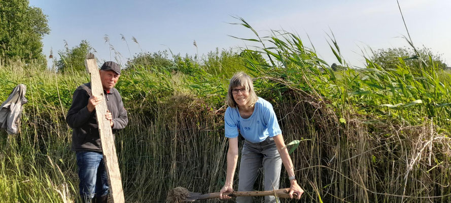 Wolfgang Kiehn und Marina Hjelm bei der Zaunreperatur auf dem Hachedesand 